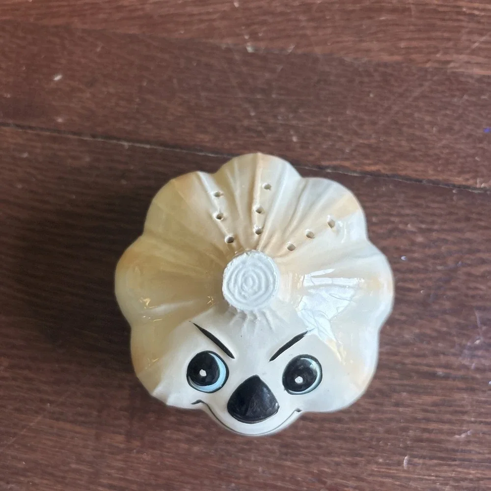 Garlic Onion Salt Shaker spice up